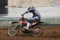 Jake Nicholls