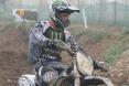 David Philippaerts